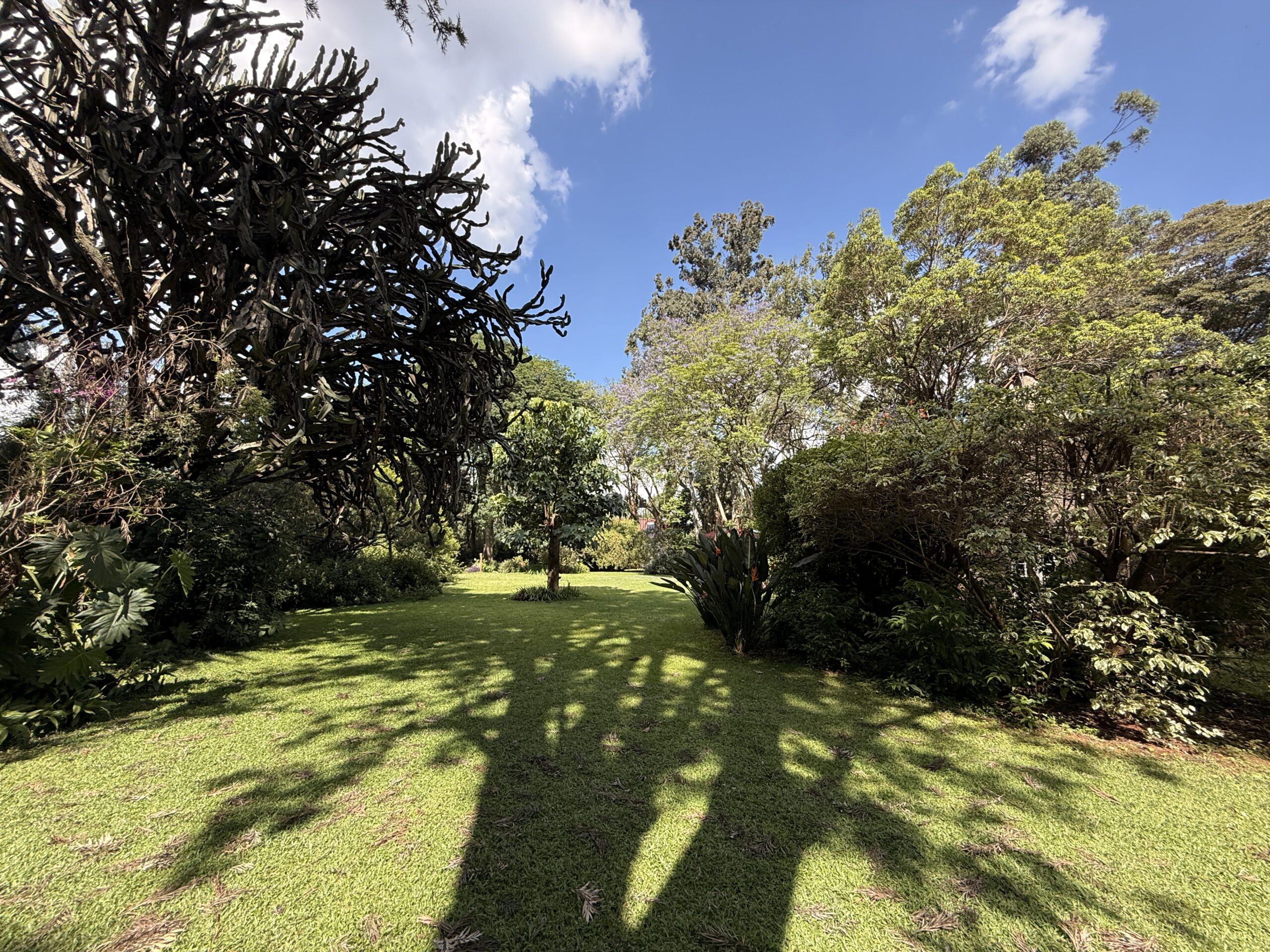 Tranquility at its best