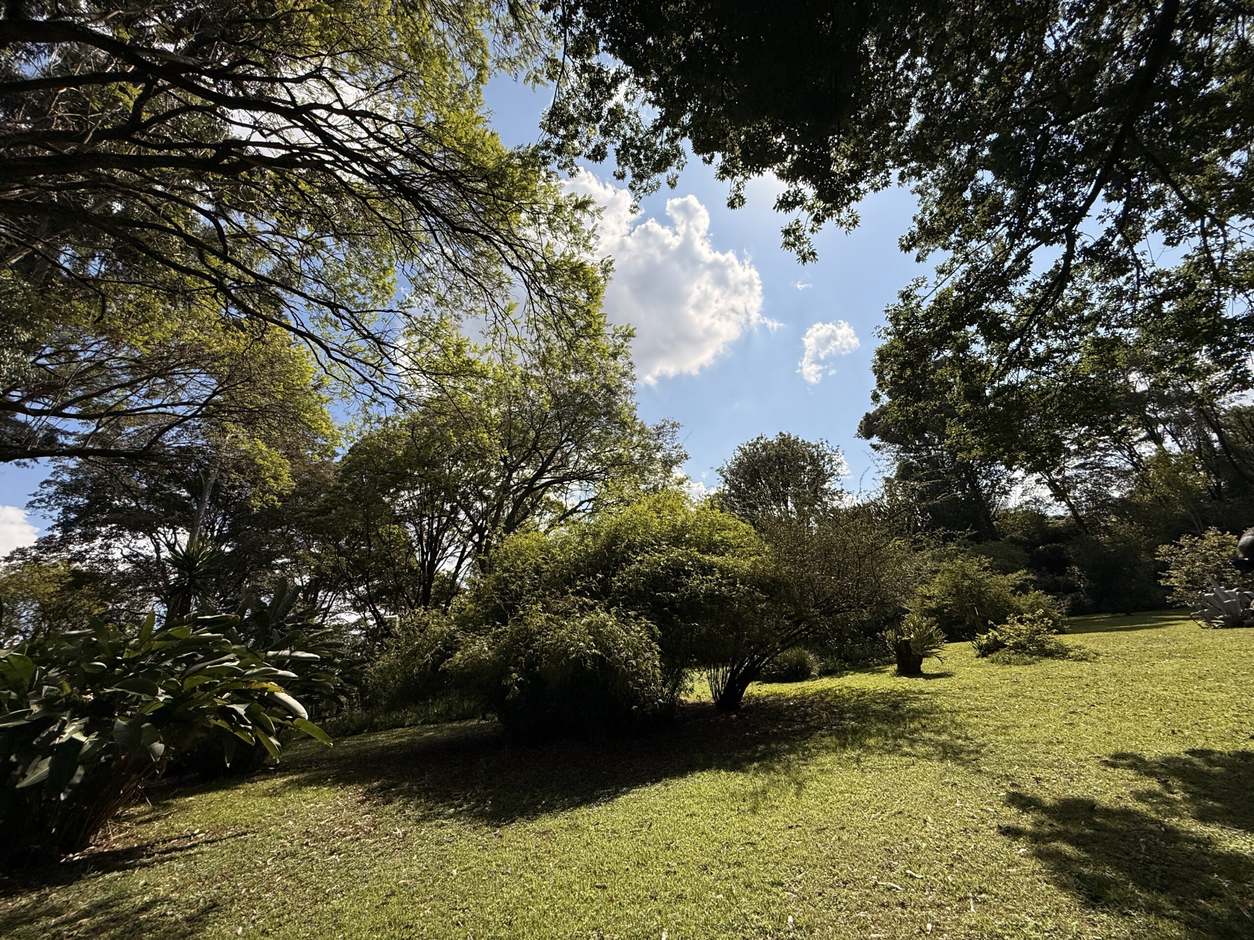 Ridgeways posh estate