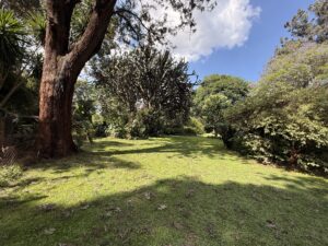 PRIME 2.5 ACRE LAND IN RIDGEWAYS -OFF KIAMBU ROAD