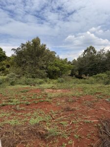 PRIME RESIDENTIAL LAND IN MUSHROOM GARDENS ESTATE OFF KIAMBU ROAD