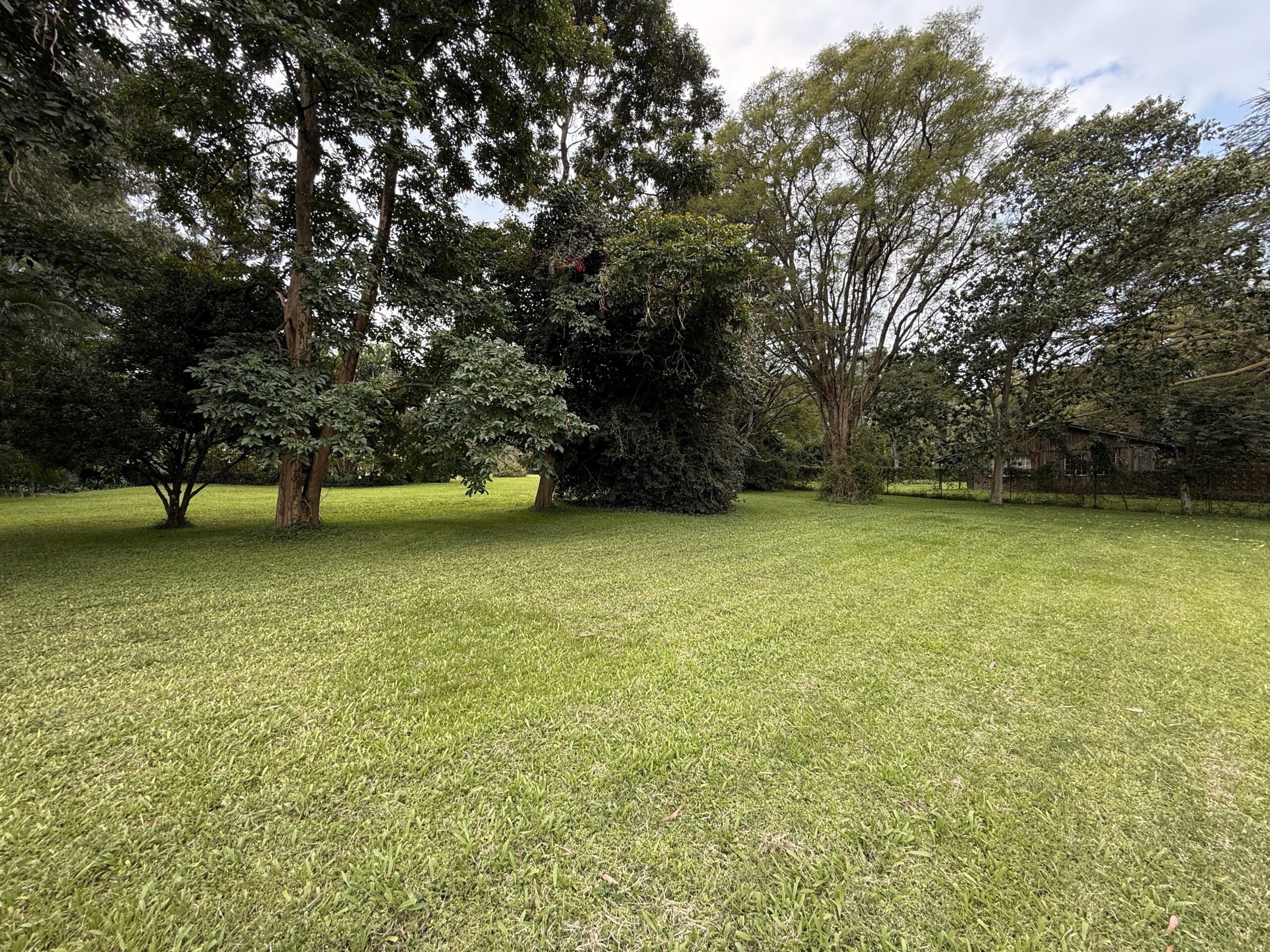 Serene compound