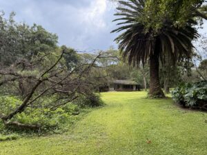 UNIQUE 20 ACRES OF PRIME NAKURU HIGHWAY FRONTAGE FOR SALE at 42M PER ACRE