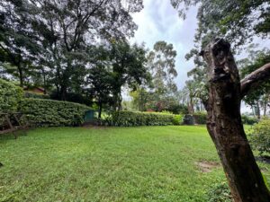 Prime Half Acre Residential Land for Sale in Ridgeways kiambu road at 39M
