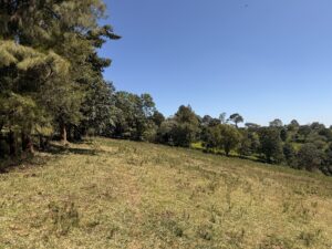 Why Ngong Is the Smartest Place to Settle in 2026 — Affordable, Connected & Booming