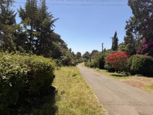 Tigoni Property Guide 2026 — Land Prices, Houses for Sale, Tea Farms & Why Investors Are Rushing In