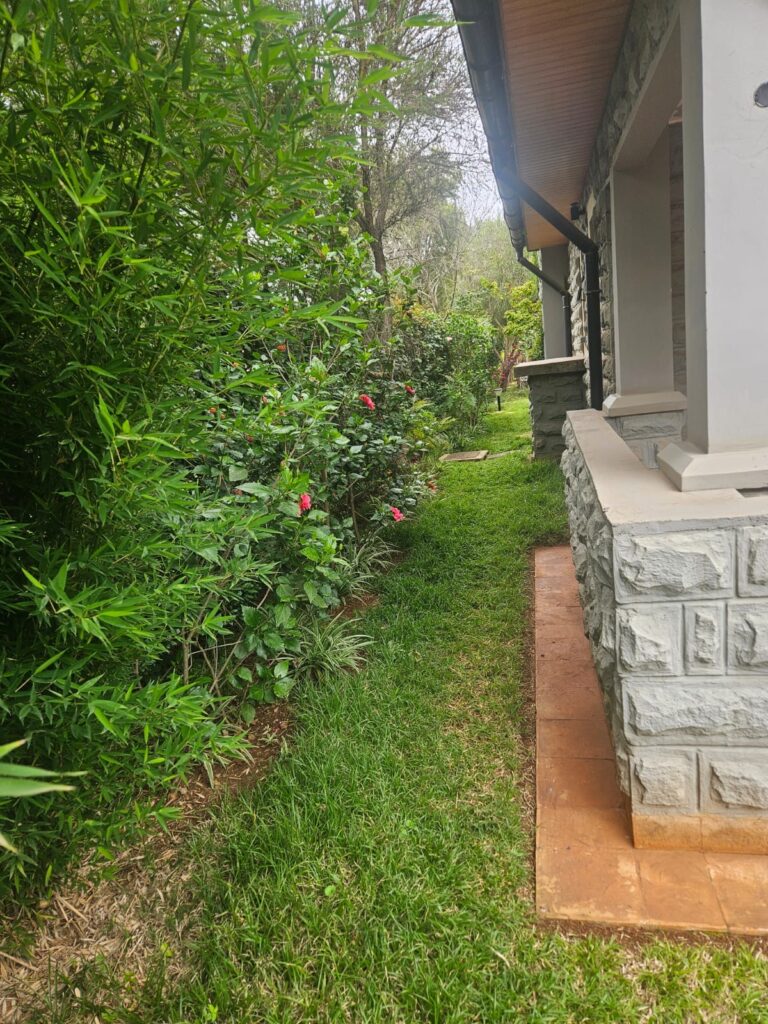 Bogani Park Estate Karen - property photo 10