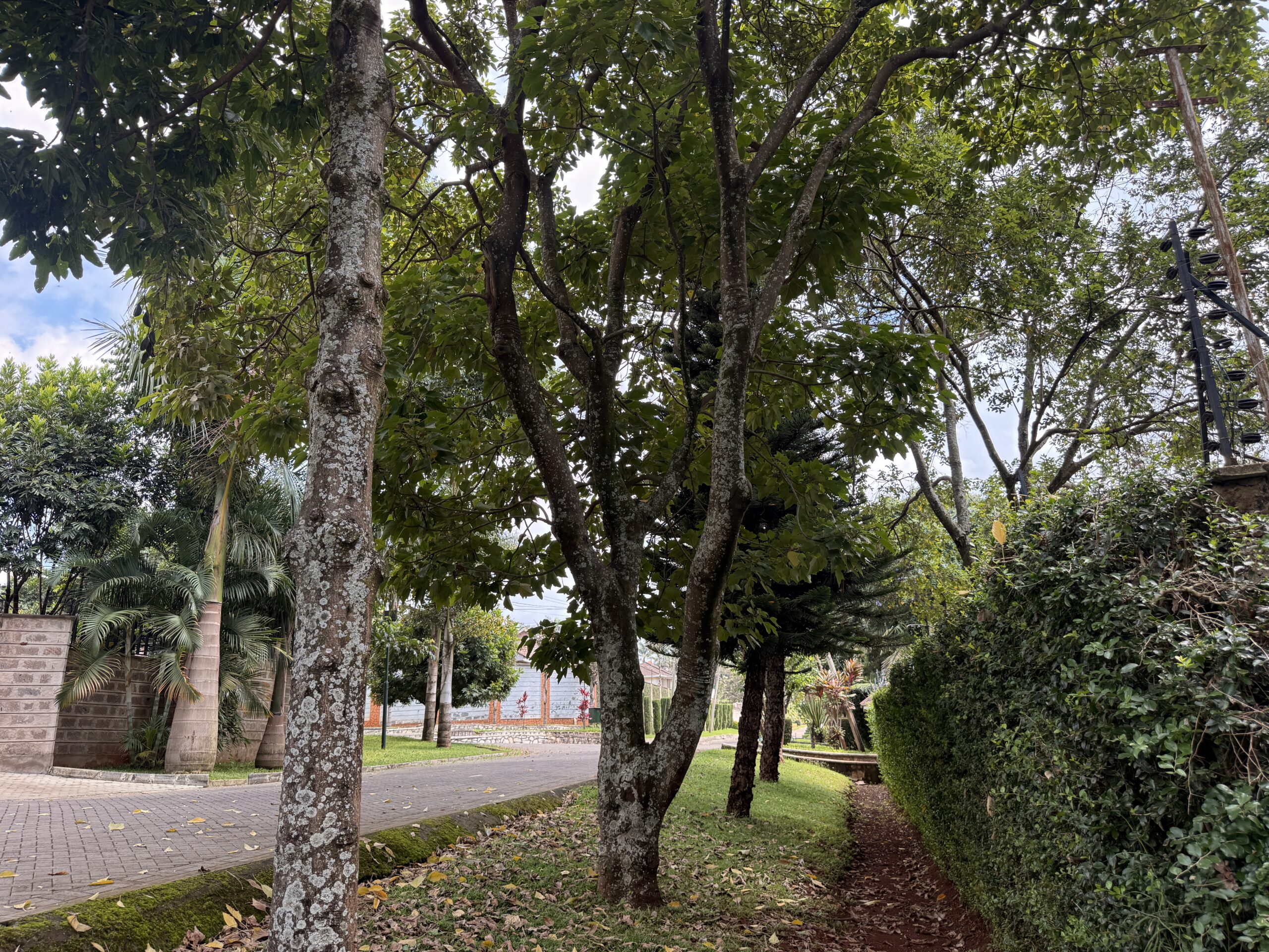 Best Gated Estates on Kiambu Road, Nairobi (2026)